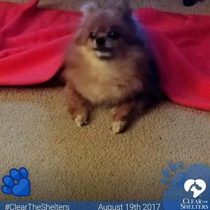 Meet your Posher, Gena